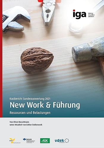 Titelbild des Kurzberichtes: Verschiedene Werkzeuge liegen um eine Walnuss herum auf einer Tischplatte.