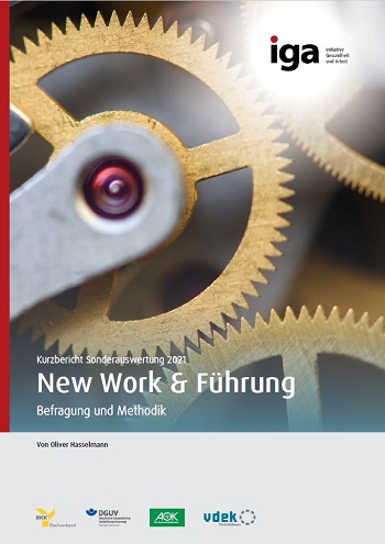 Titelbild des Kurzberichtes: Feine Zahnräder greifen ineinander.