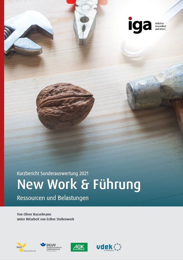 Titelbild des Kurzberichtes: Verschiedene Werkzeuge liegen um eine Walnuss herum auf einer Tischplatte.