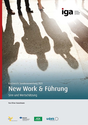Titelbild des Kurzberichtes New Work & Führung: Sinn & Wertschätzung