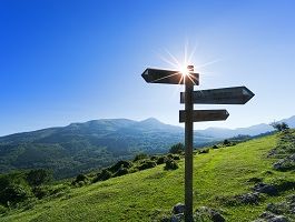 Die Pfeile eines Wegweisers in einer grünen Hügellandschaft zeigen in verschiedene Richtungen.